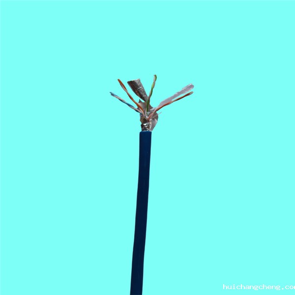 星空app平台官网下载用途